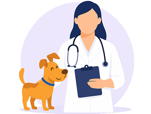 Google Ads for Pet Clinic in the USA